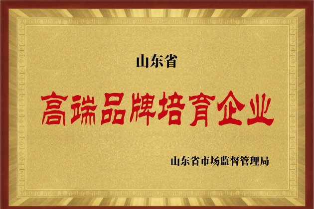 山东省高端品牌造就企业